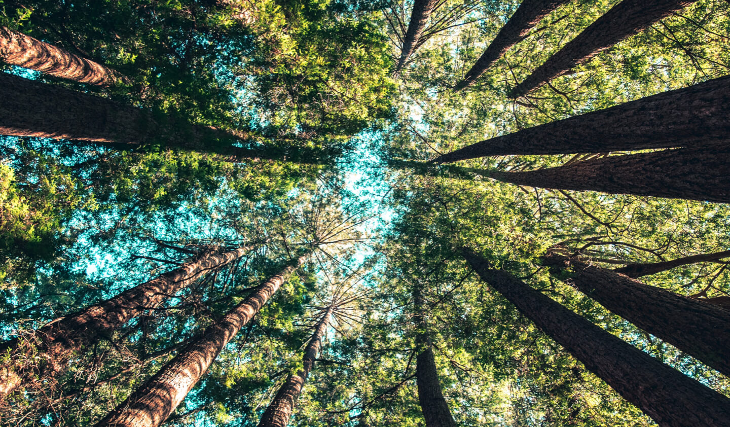 Aireloom Lido Streamline Luxury Firm Mattress | Denver Mattress