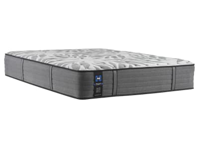 Sealy active comfort plush mattress discount
