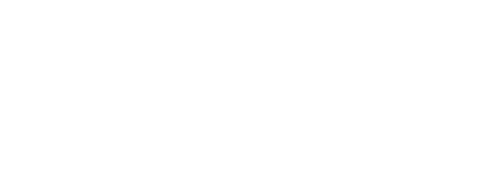 White Joybird Logo