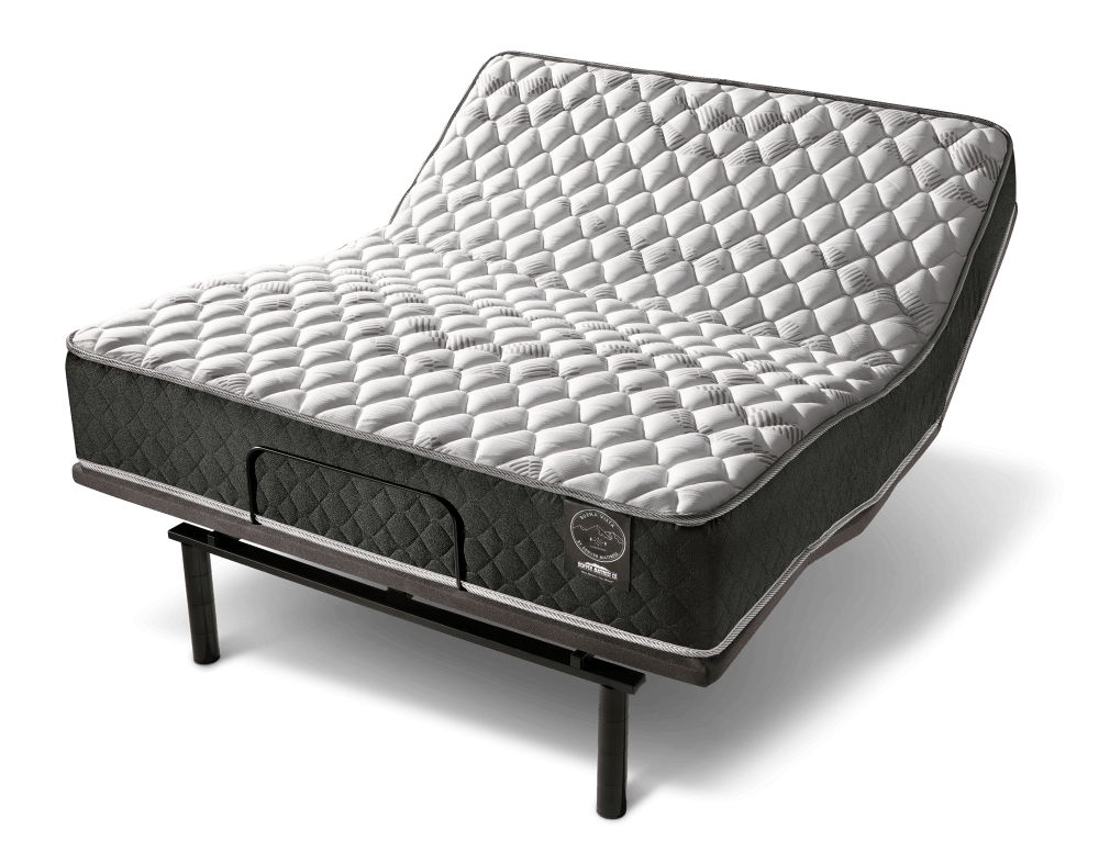 Buena Vista Firm Mattress on Hibernation Silver Adjustable Base