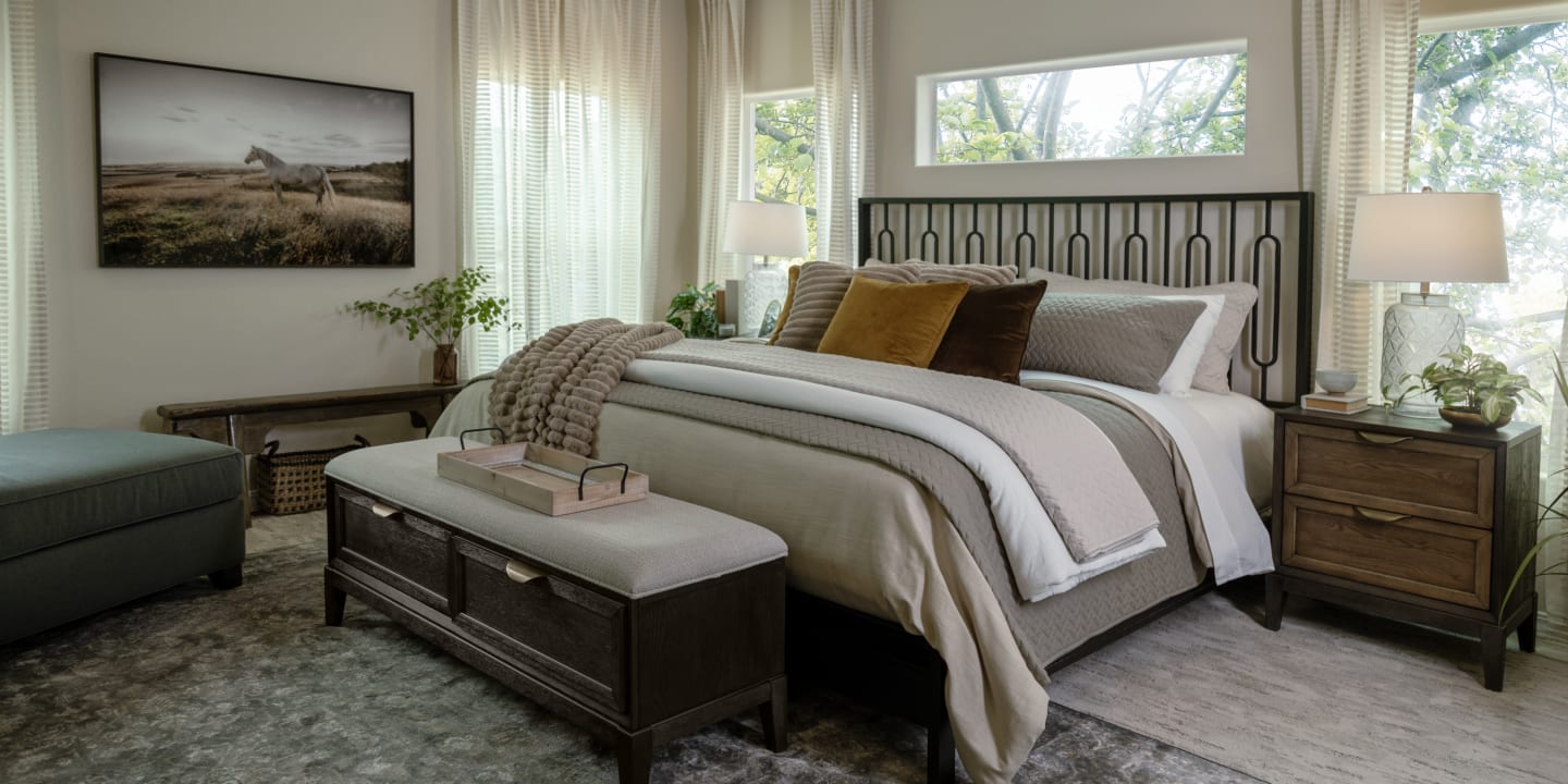 Modern Metal Bed frame in Sunny Bedroom