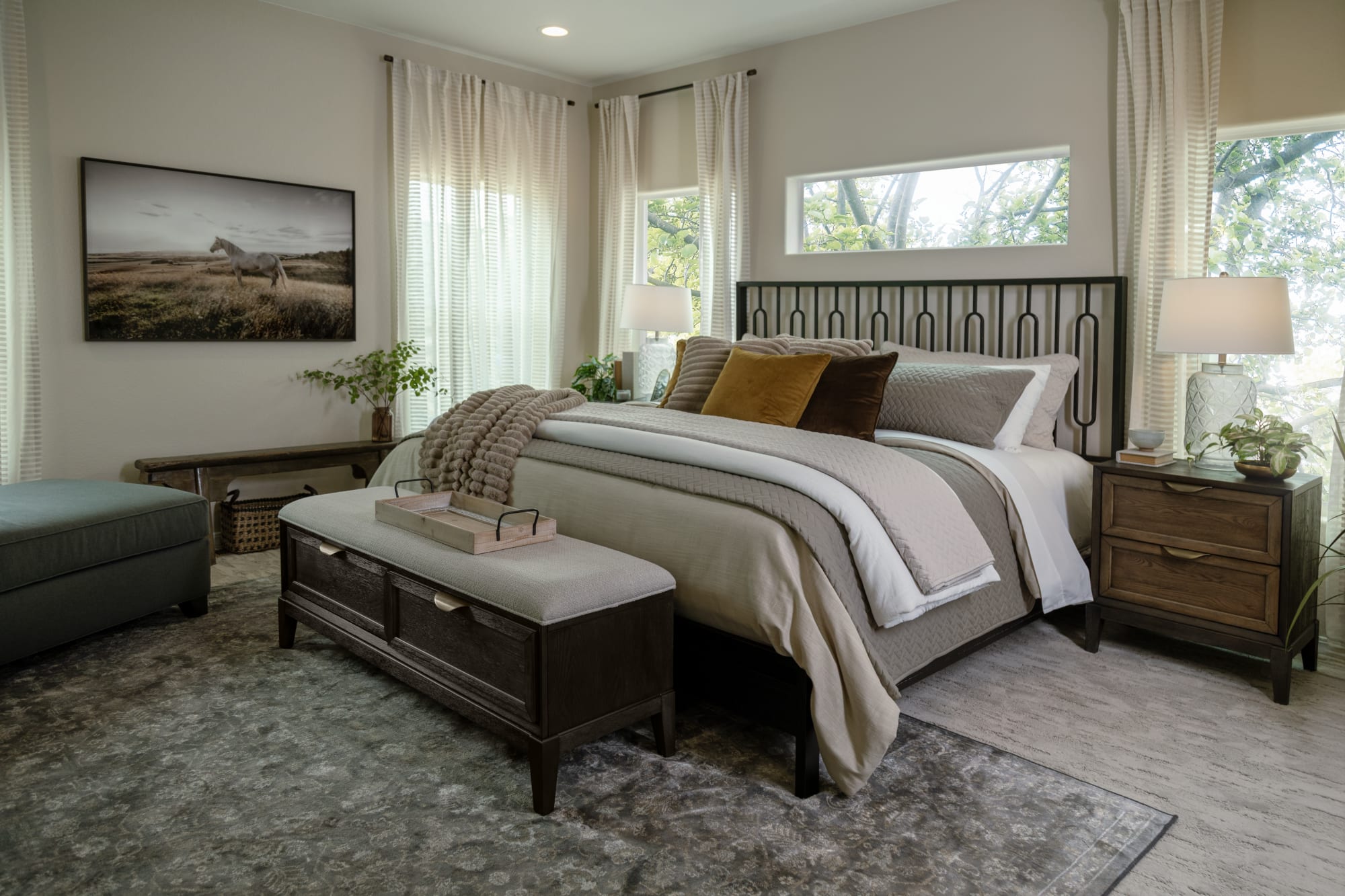 Modern Metal Bed frame in Sunny Bedroom