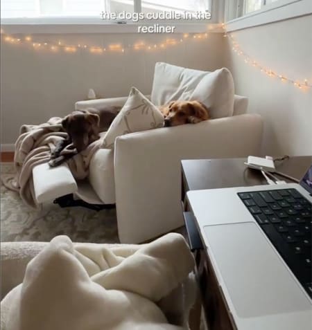 Light Grey, White, Reclining Chair with dogs cuddling in the recliner.