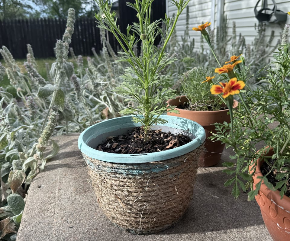 Crafted Rope Garden Pot