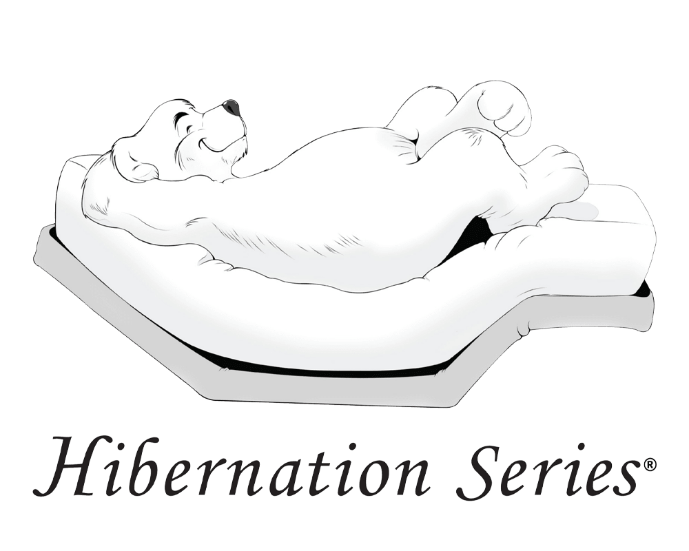 Hibernation Series Logo