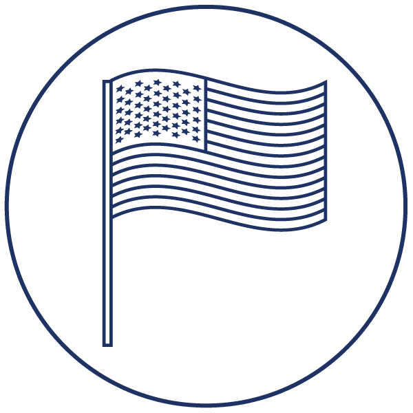 American Flag Icon