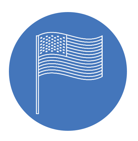 American Flag Icon