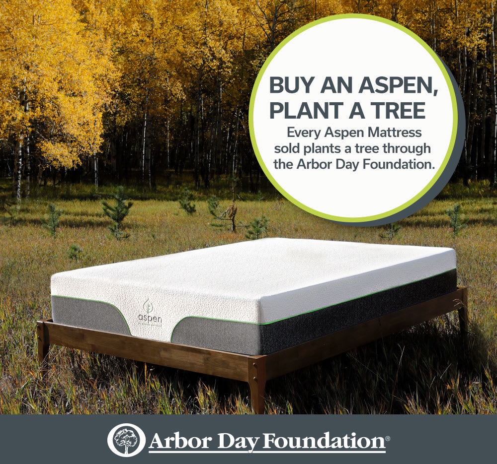 Aspen Hybrid Mattress With Aspen Trees