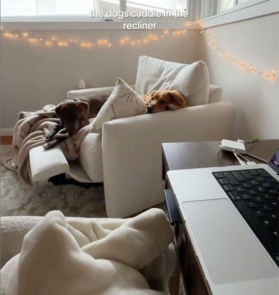 Light Grey, White, Reclining Chair with dogs cuddling in the recliner.