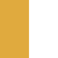 Gold and White