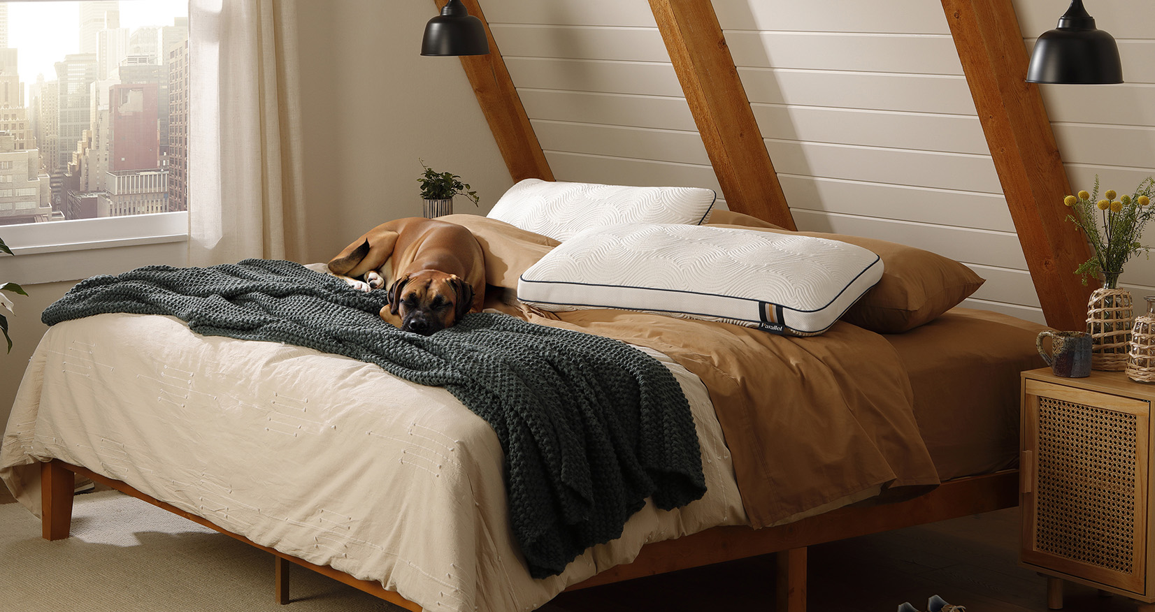 2 parallel pillows on bed in room with dog