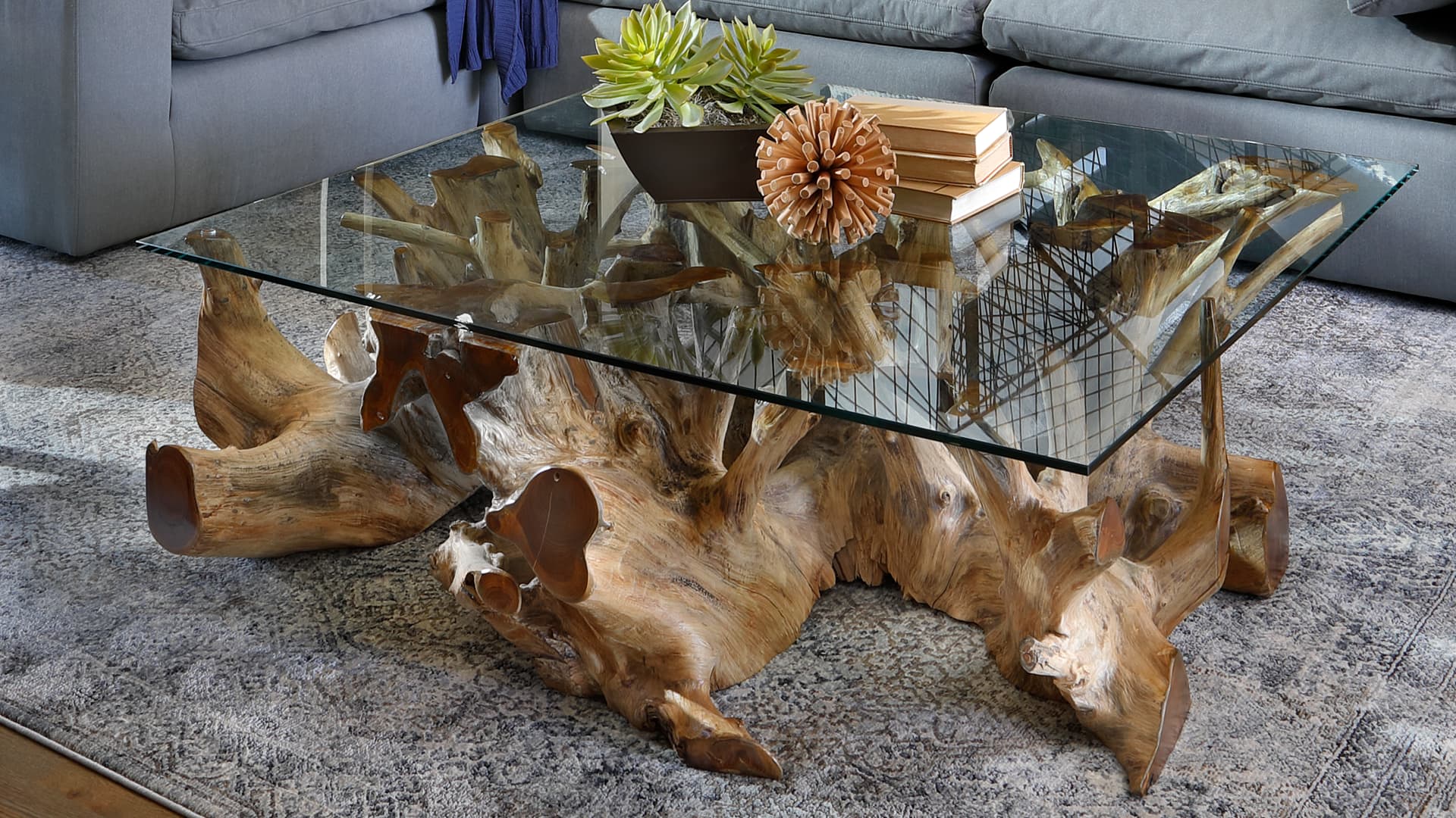Teak Root Base Coffee table with glass top