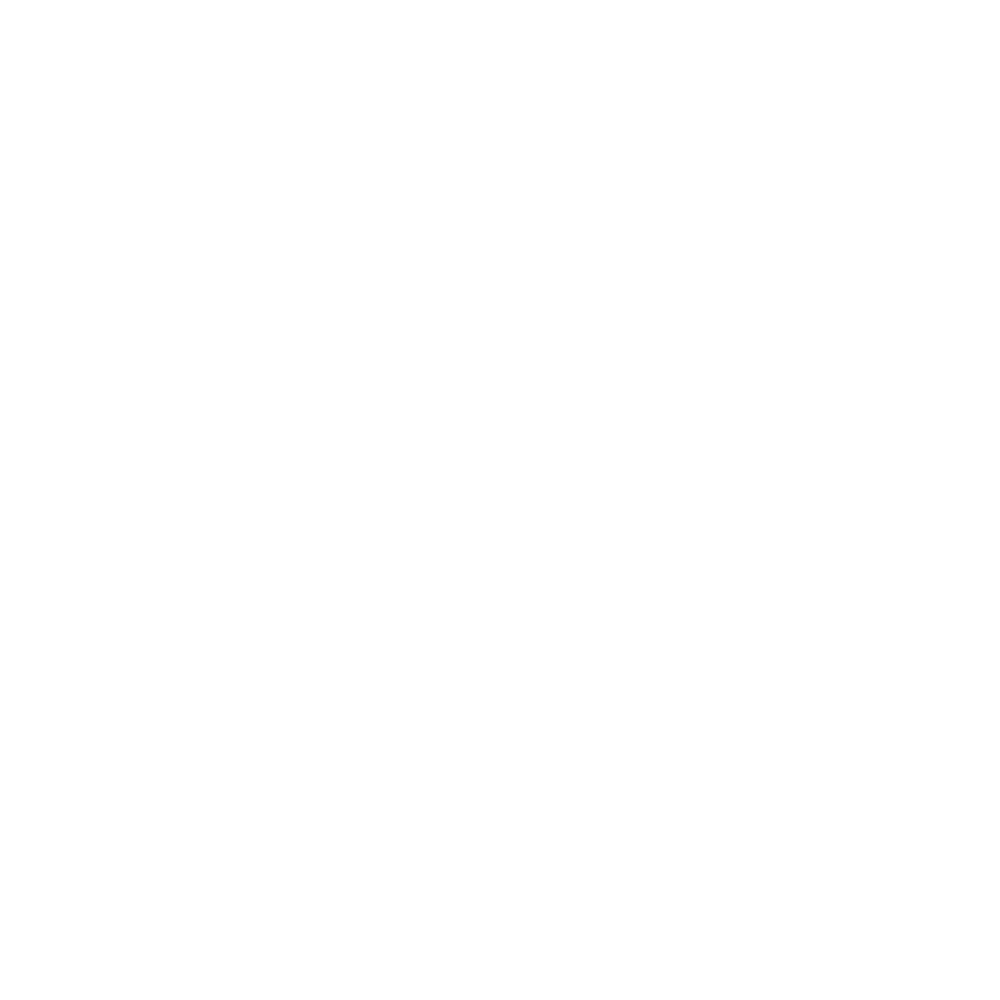 Warranty Protection Icon