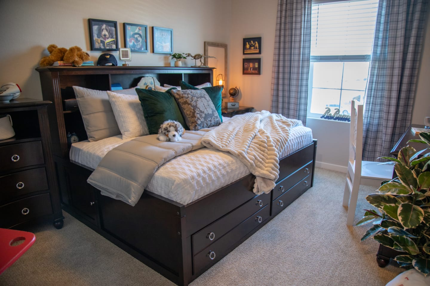 The dark brown Kate Lounge Storage Bed in kids bedroom