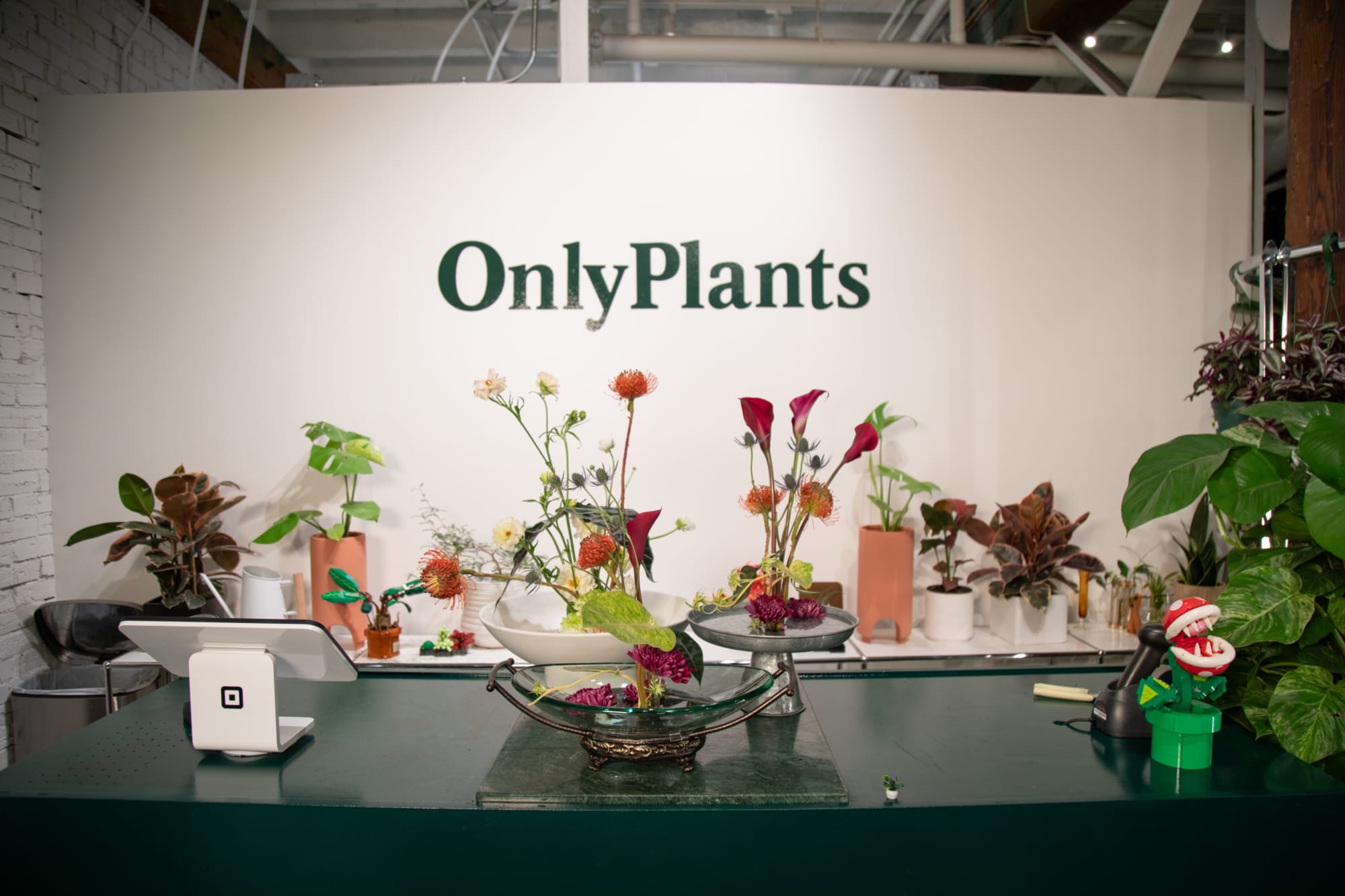 Wide angle shot of ikebana flower arrangements
