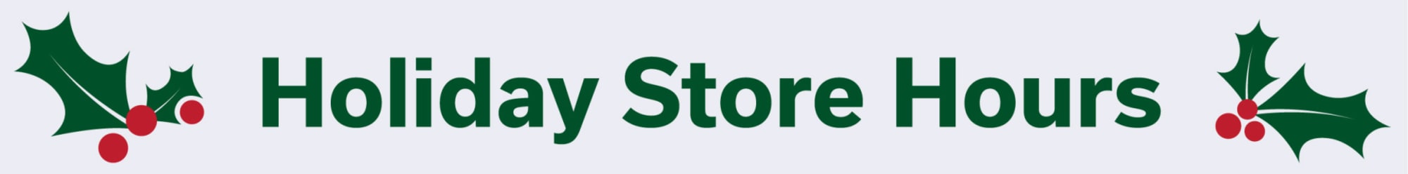 holiday store hours