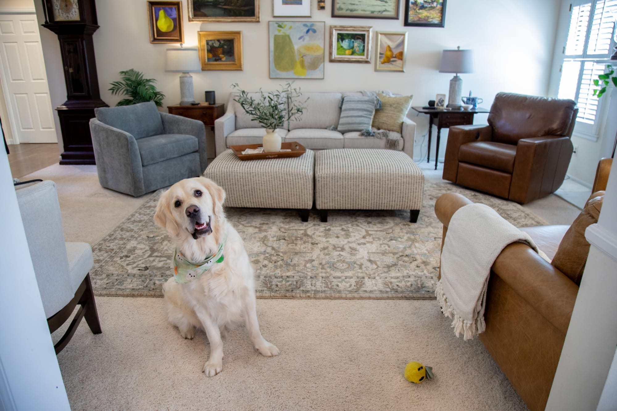 Wide room shot of Amy's living room for Real Spaces, featuring the Delray Sofa