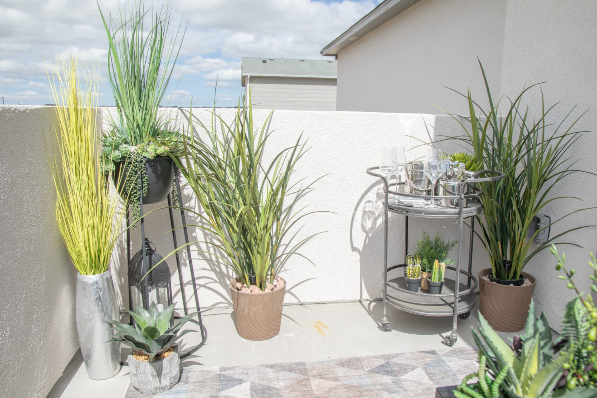 Wide shot of various large and small plants on an upstairs outdoor patio