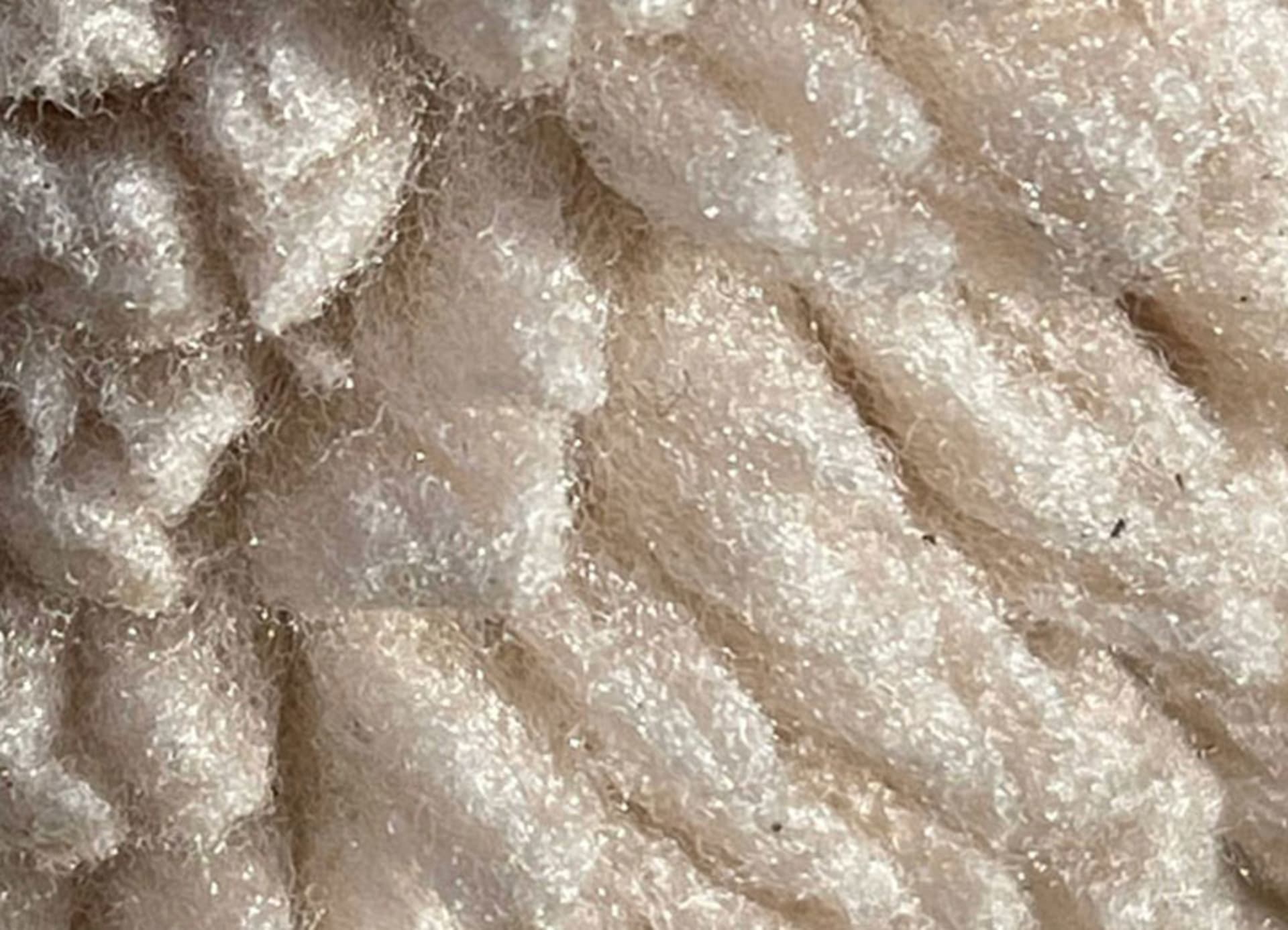 Cashmere Wool