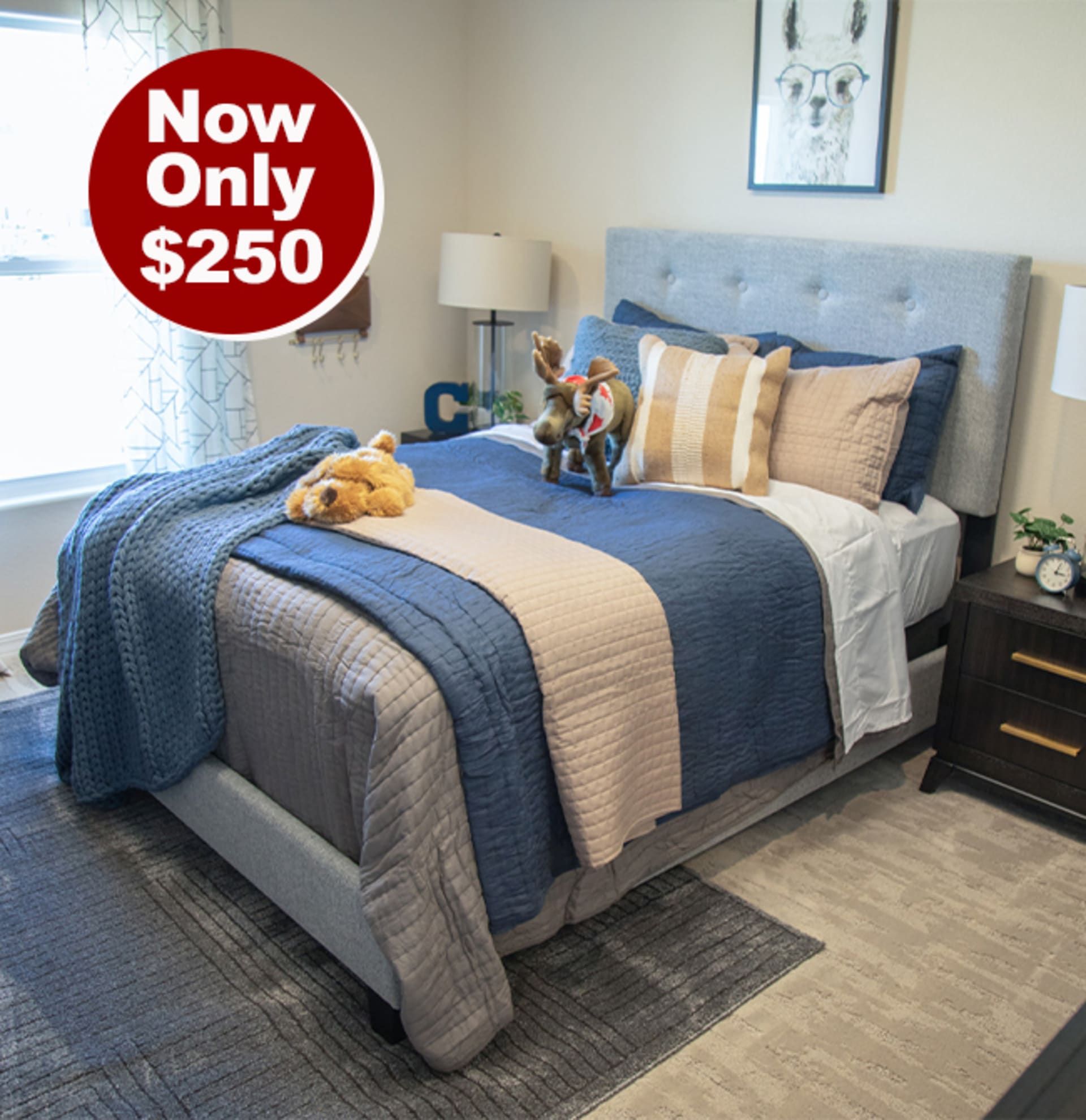Now Only $250. Hermosa Bed