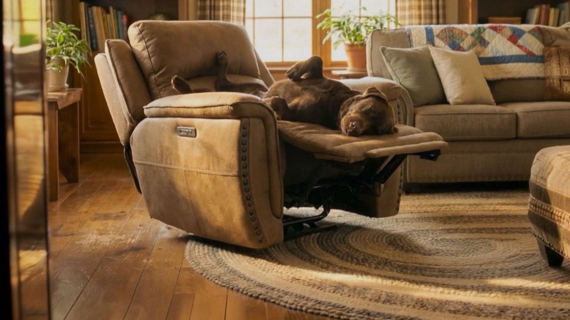 Dog Laying in Brown Leather Recliner in Living Room
