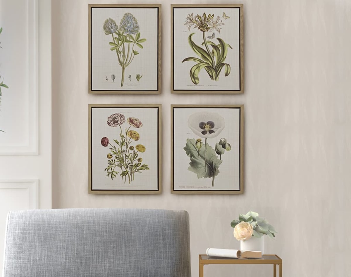 Herbal Botany Art
