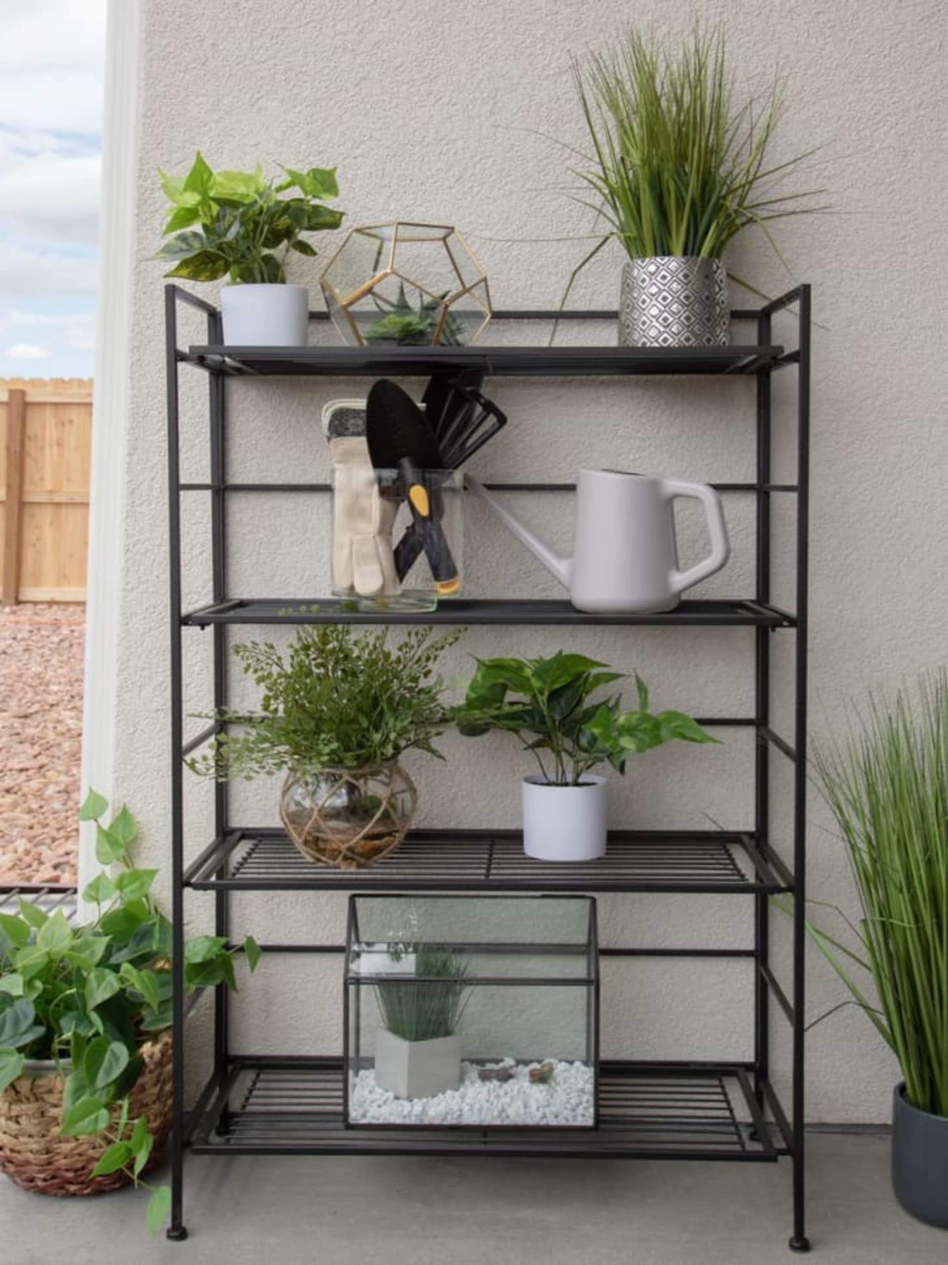 Outdoor shot of a metal shelf holding various plants