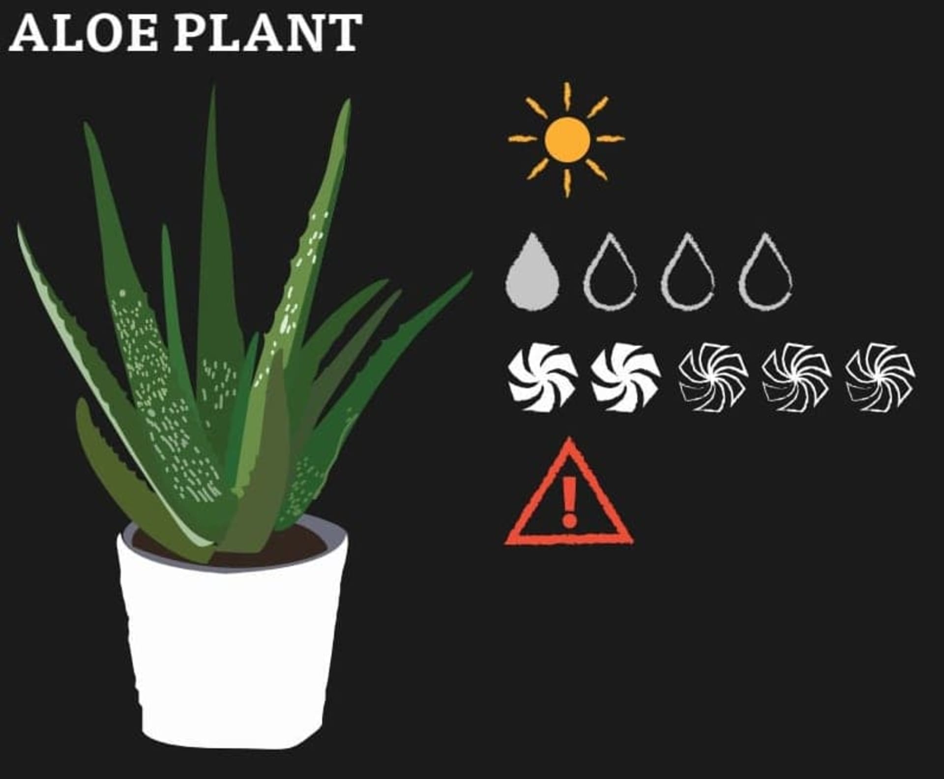 A graphic of Aloe Plant and its needs