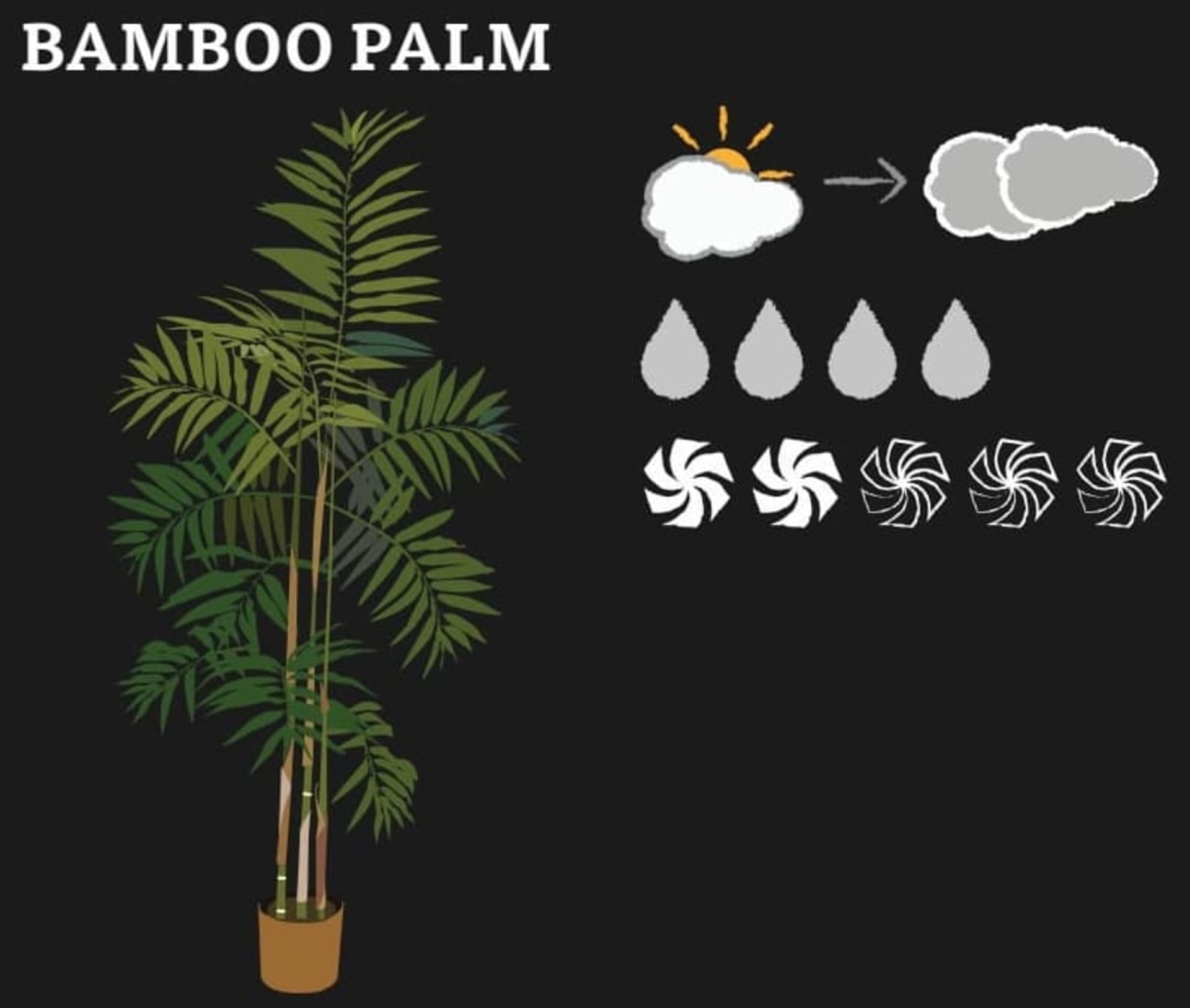 A graphic of different houseplants and their qualities