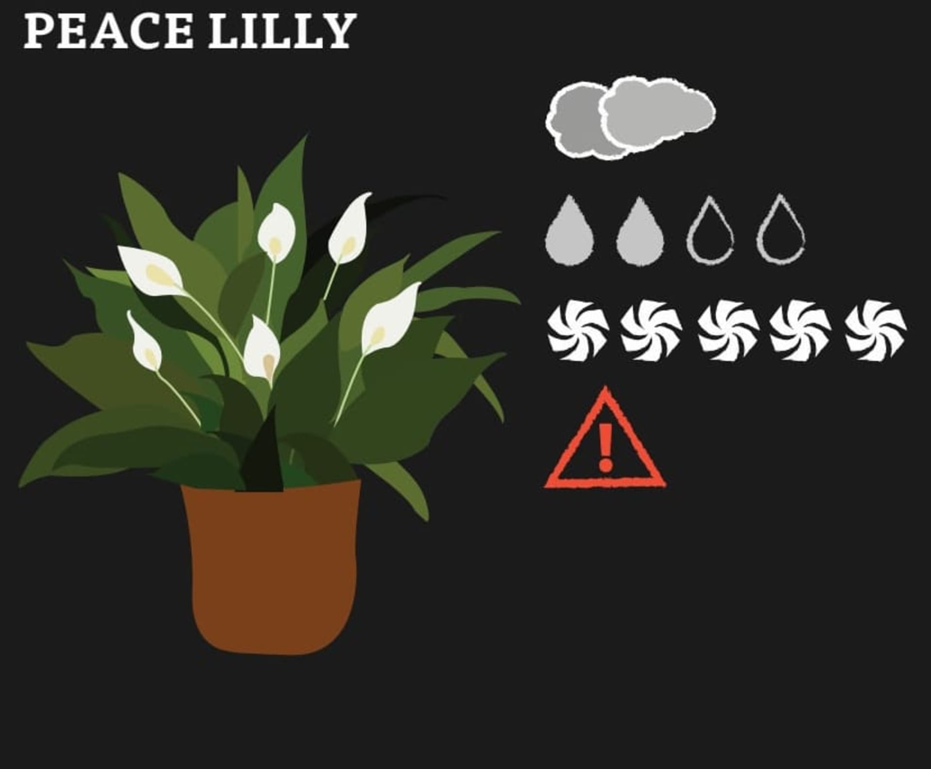 A graphic of Peace Lilly and its needs