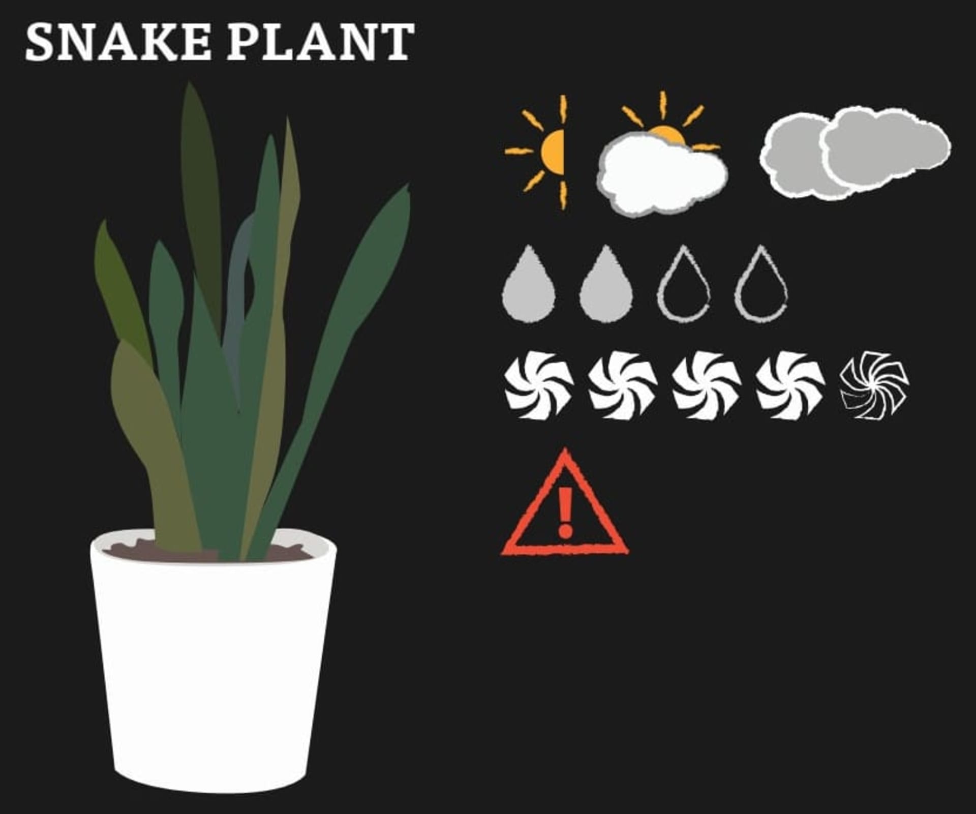 A graphic of Snake Plant and its needs