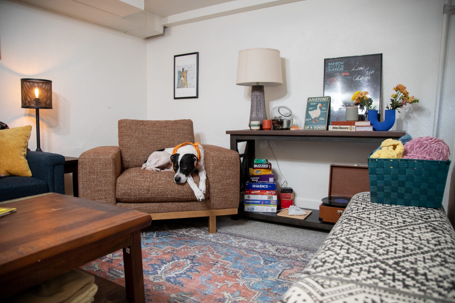 The Laguna Chair styled in Mackinley's apartment living room, featuring her lounging dog