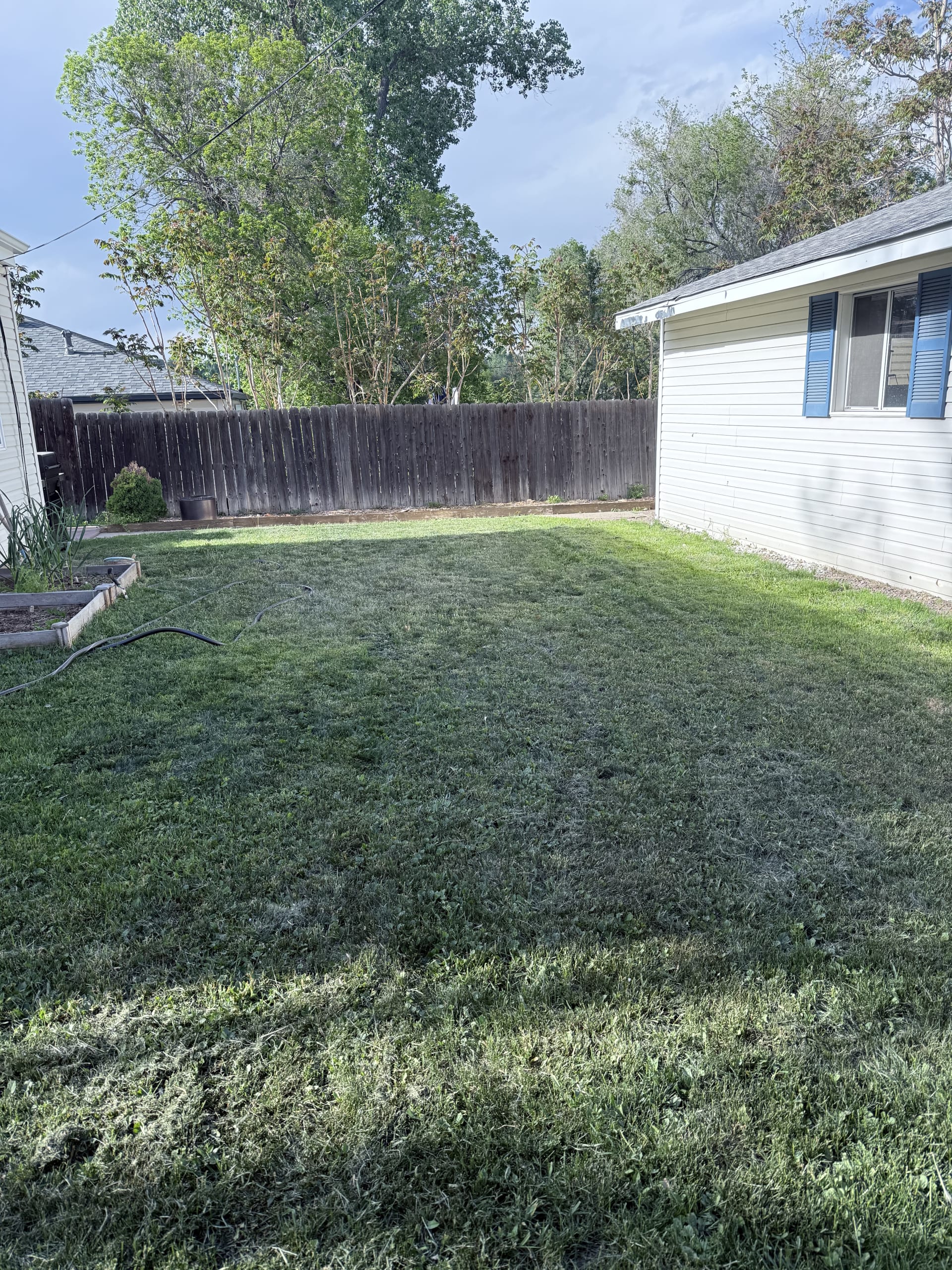 Vertical shot of a backyard after a glow up
