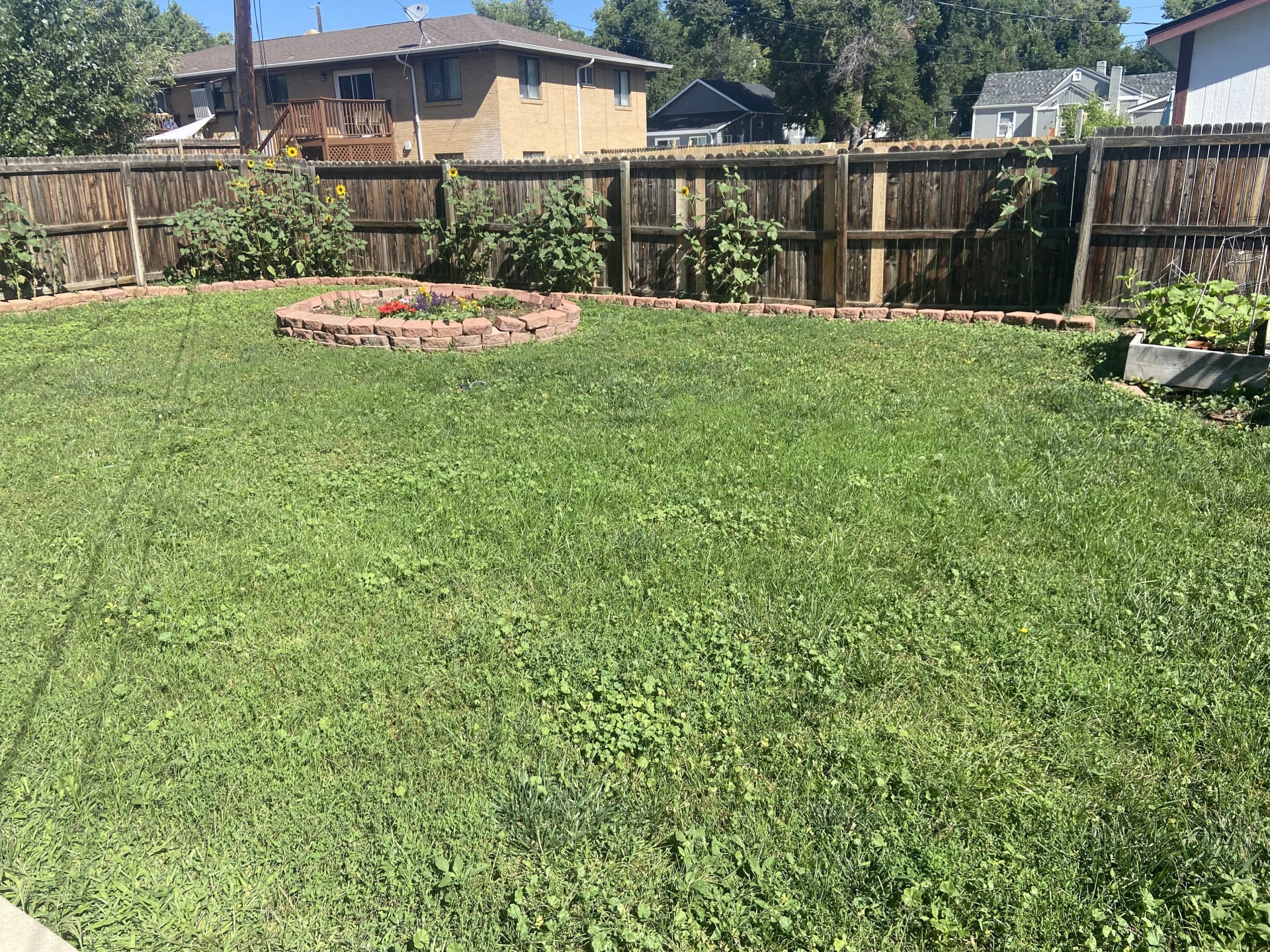 Wide shot of large backyard after maintenance