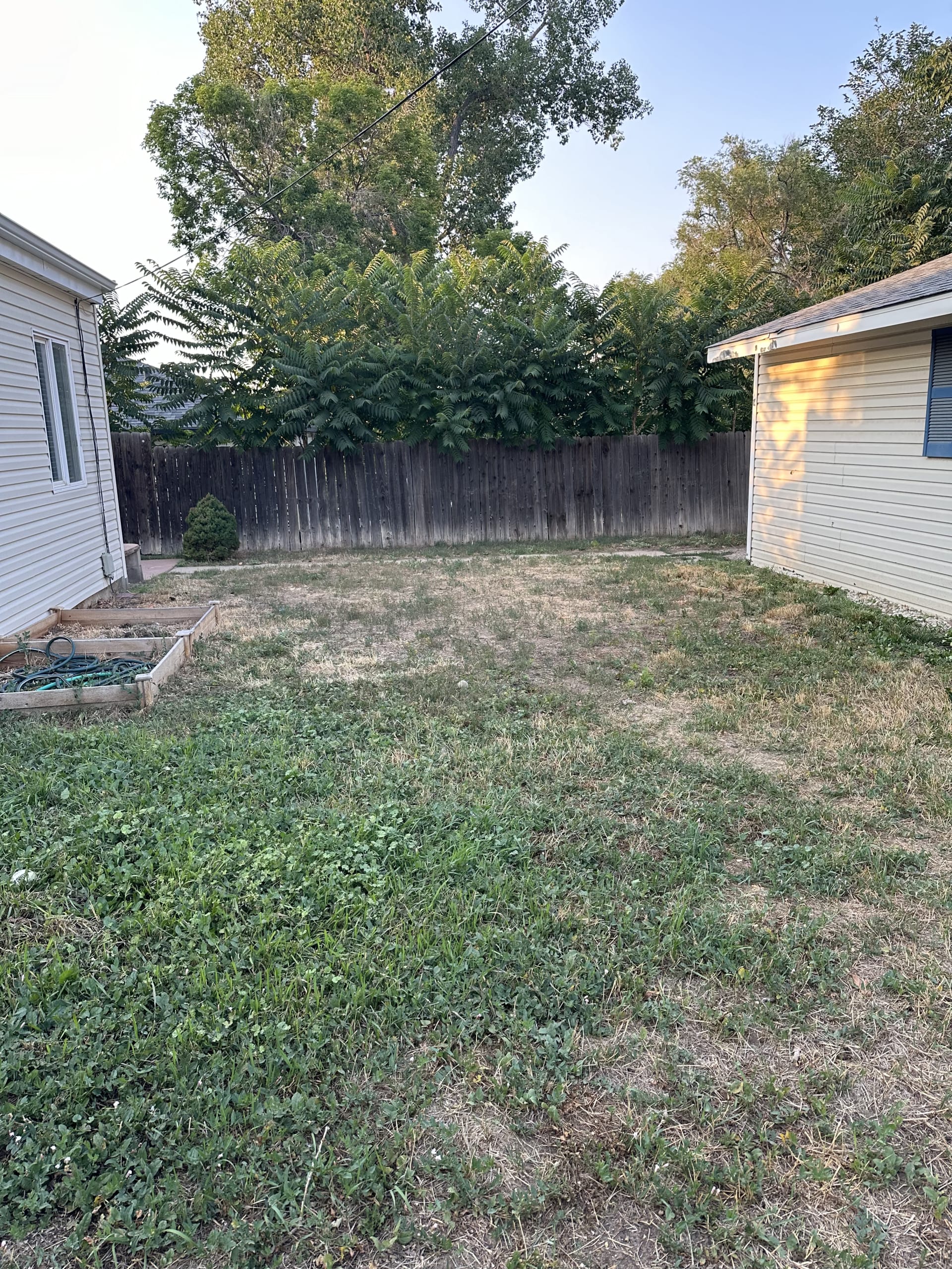 Vertical shot of a lawn/backyard before glow up