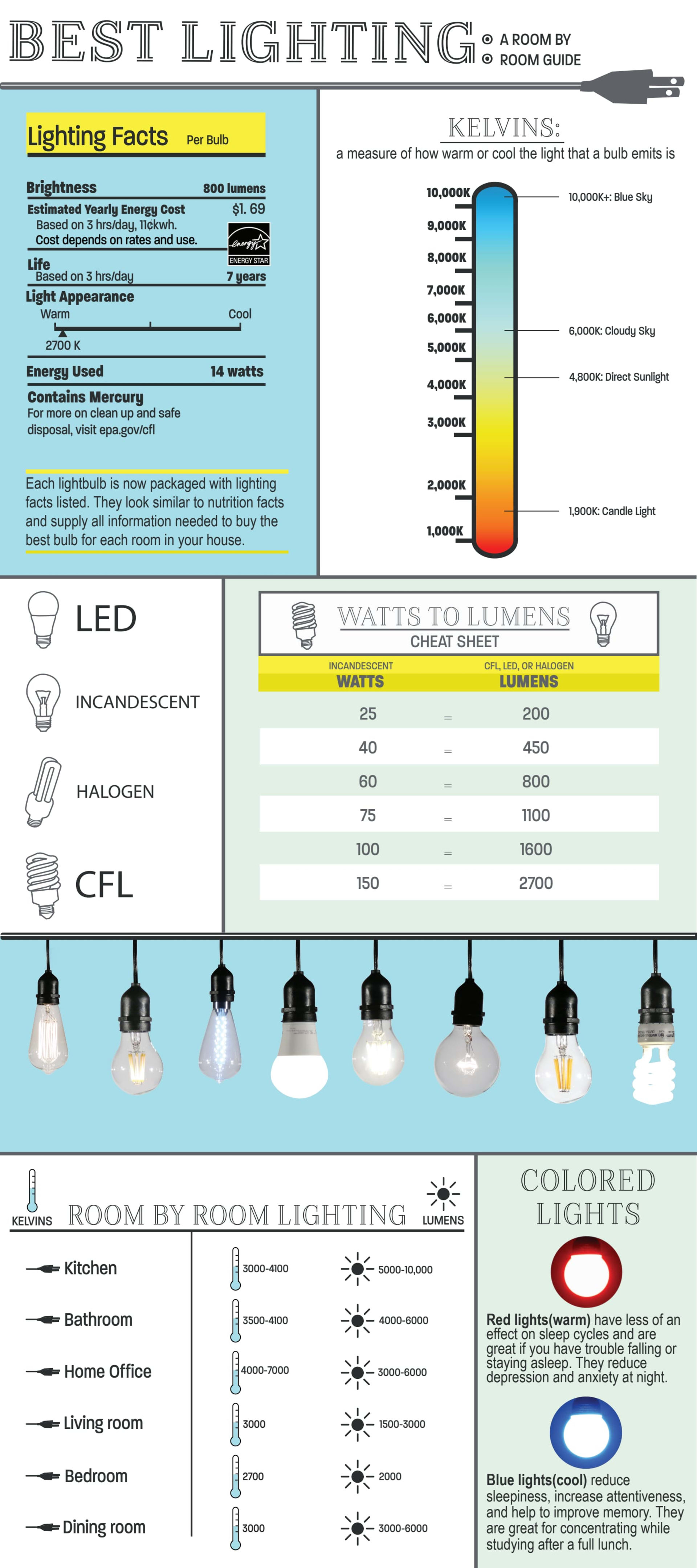Lighting and Light Bulb Infographic