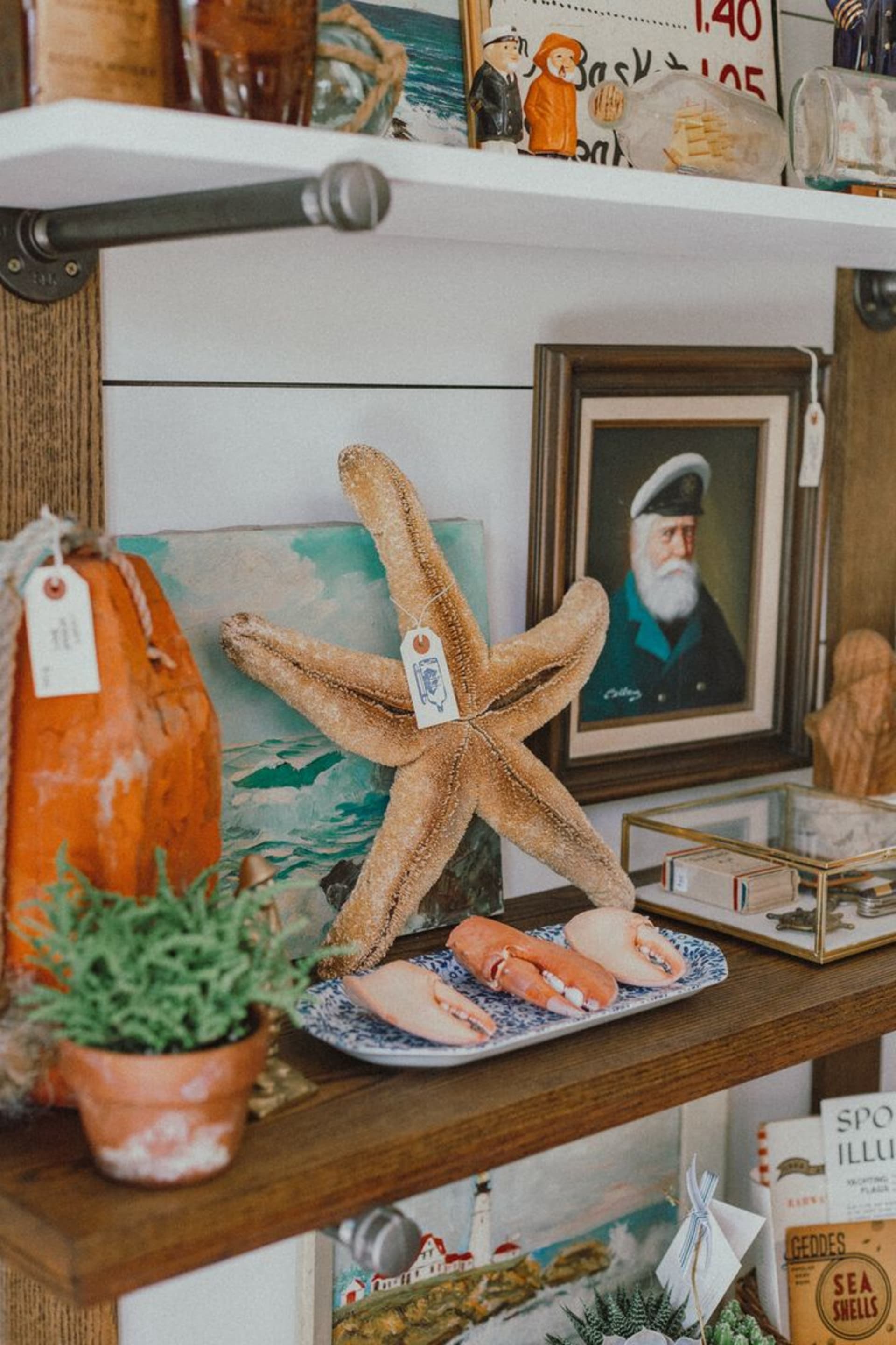 A bookshelf with coastal decor