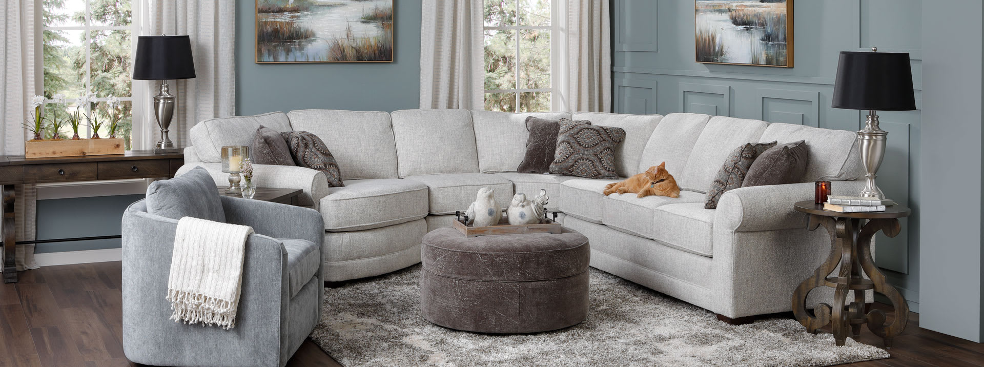 Light Gray Sectional in Living Room with Cat