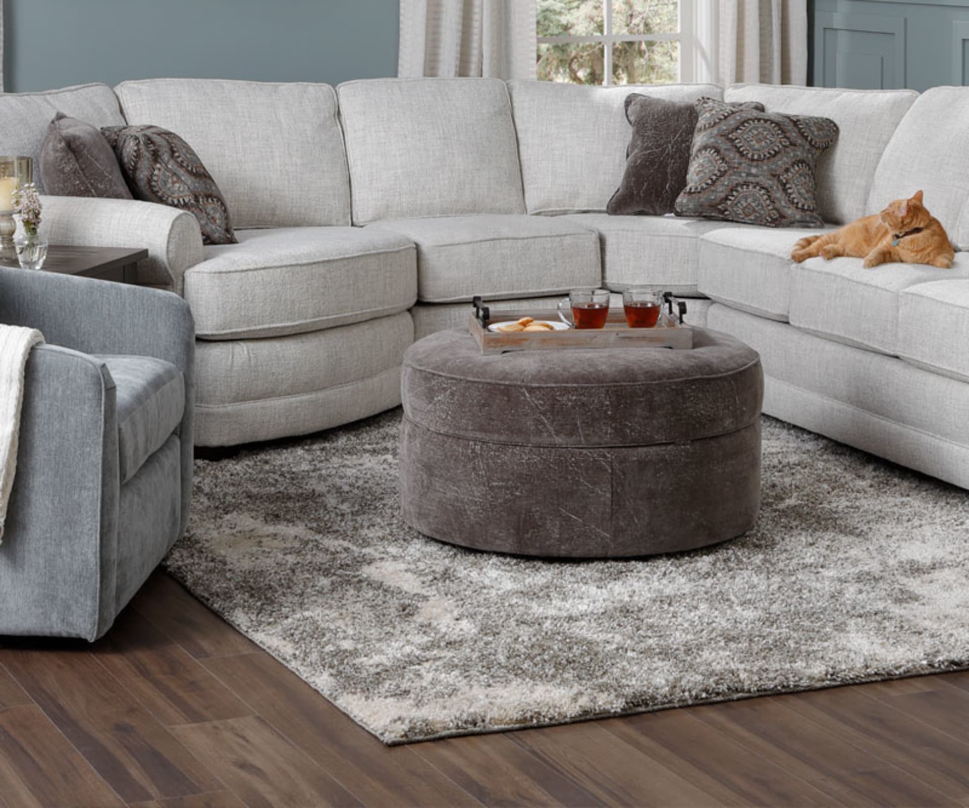 Light Gray Sectional in Living Room with Cat