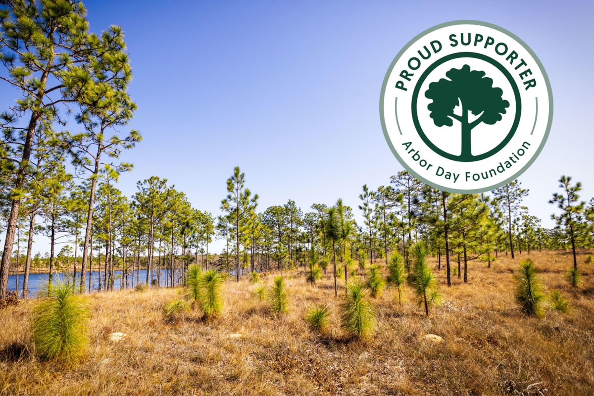 Proud Supporter Arbor Day Foundation Badge Overlaying South Eastern Tree Planting Area Photo